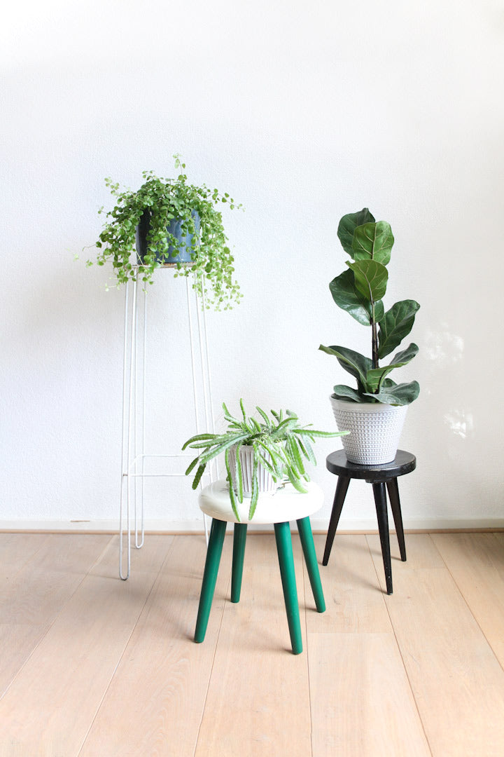 Witte metalen pied de stal / plantenstandaard met hairpin legs