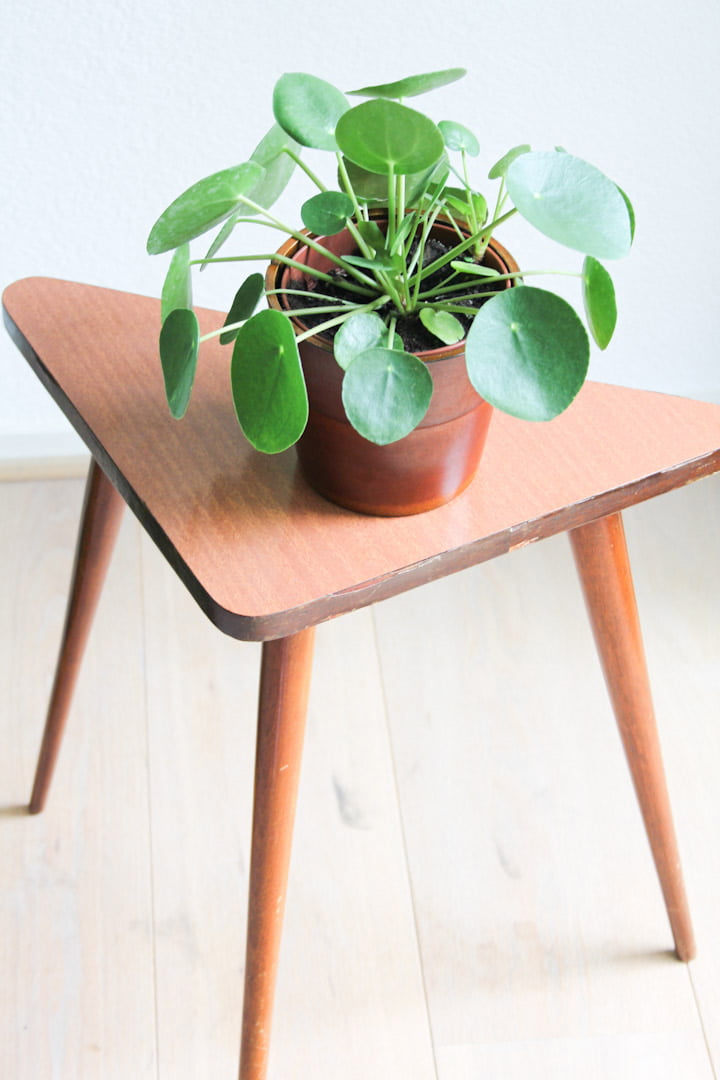 Vintage plantentafeltje