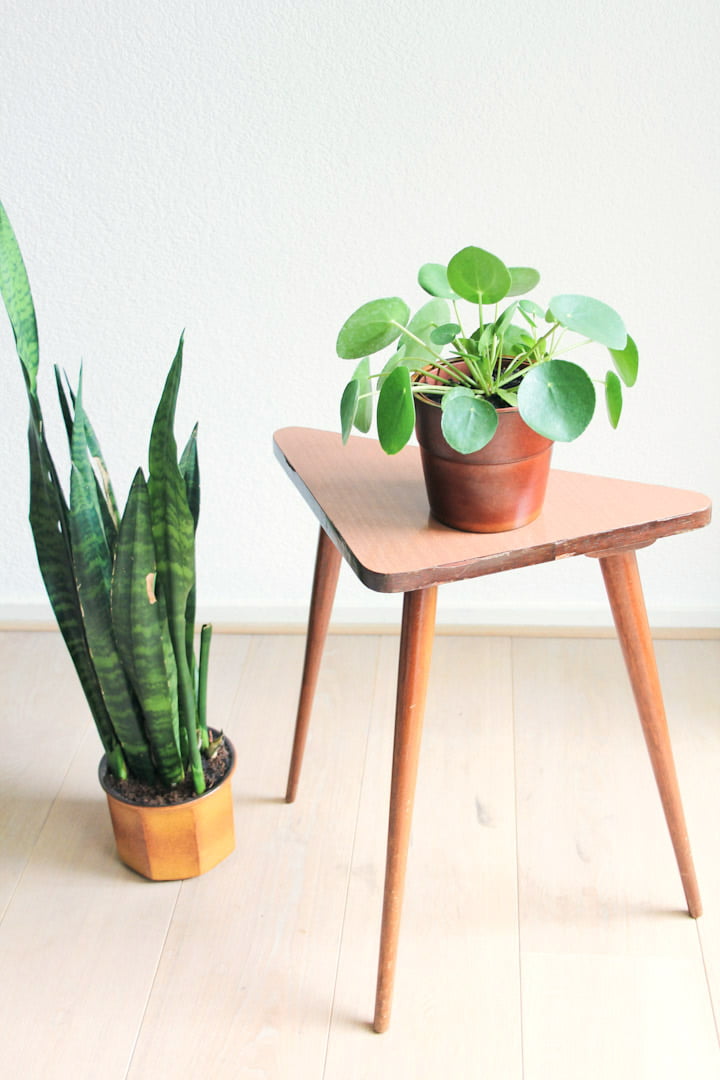 Vintage plantentafeltje
