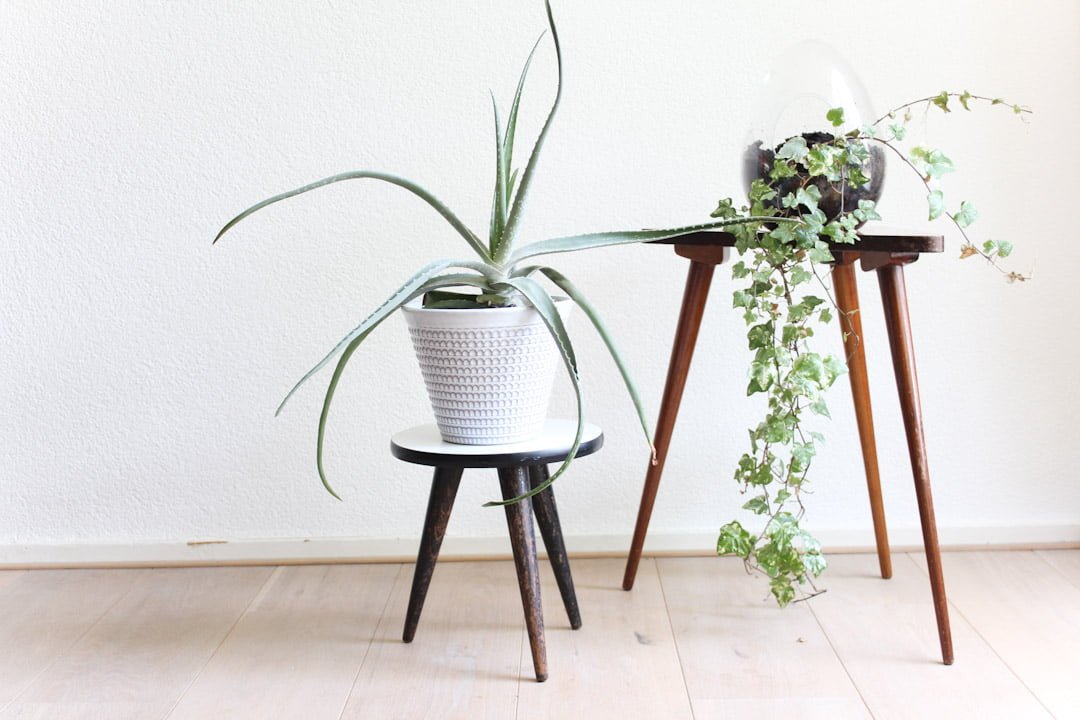 vintage plantentafeltje