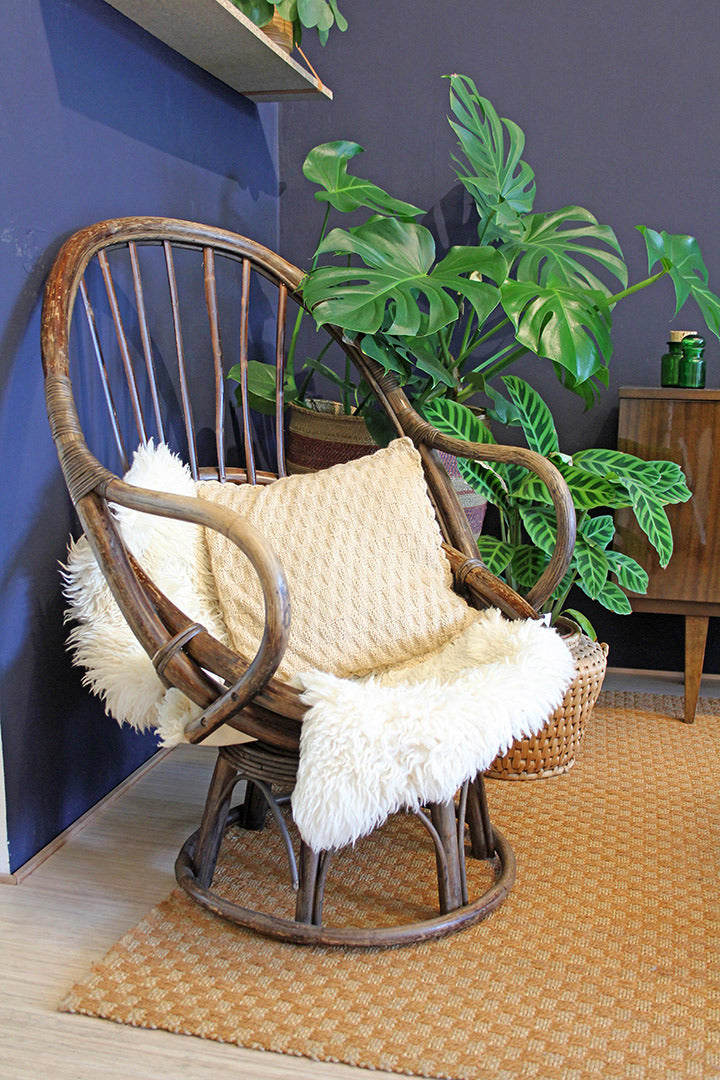 rotan eistoel
