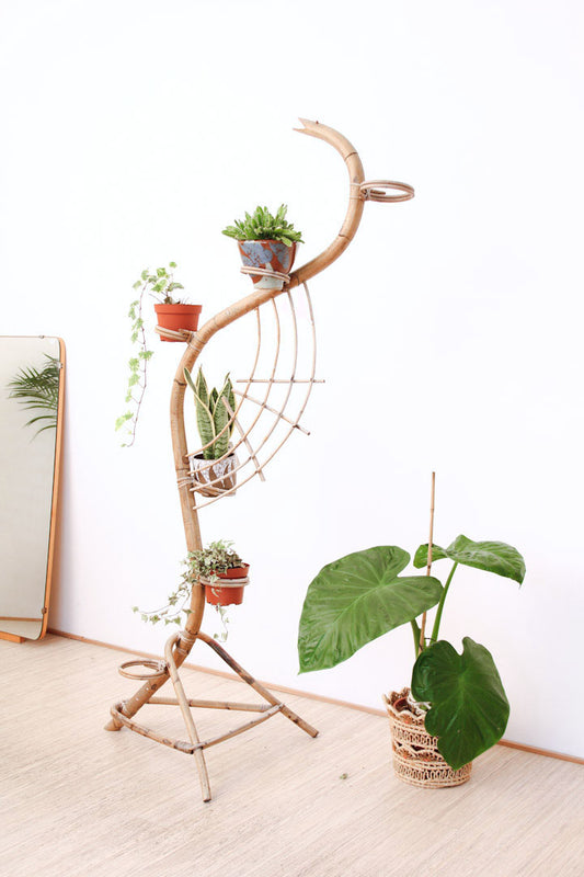Rotan slang platenstandaard