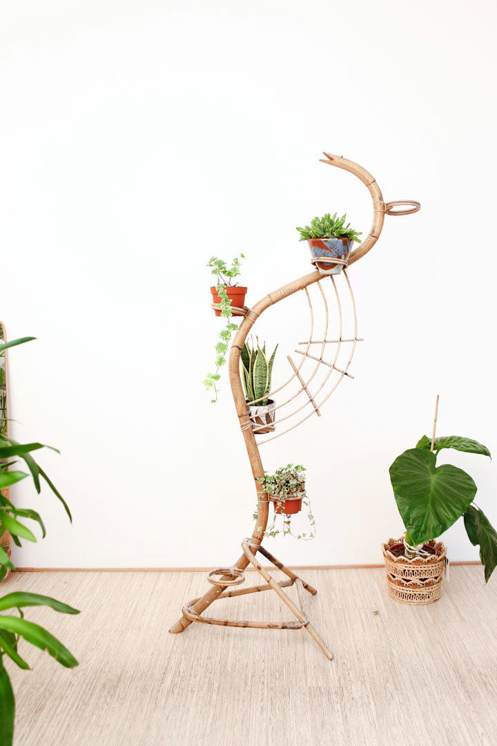 Rotan slang platenstandaard