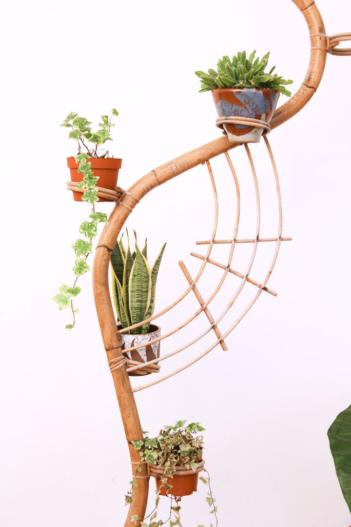Rotan slang platenstandaard