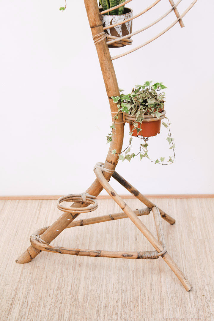 Rotan slang platenstandaard