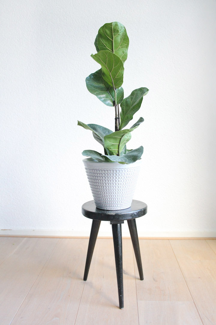 Zwart houten plantentafeltje